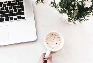 《园艺养成指南：狩猎丰收活动全新种子全收录》